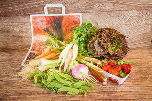 Sac prêt à emporter hyperlocal grand  BIO