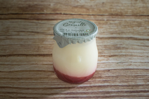 yogourt vache groseille 140 g BIO