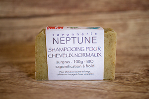 Shampooing pour cheveux normaux 100 g BIO