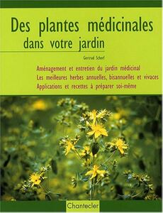 Des plantes médicinales dans votre jardin  