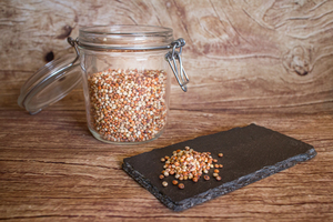 Sorgho en grain  BIO